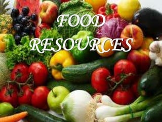 FOOD
RESOURCES
 