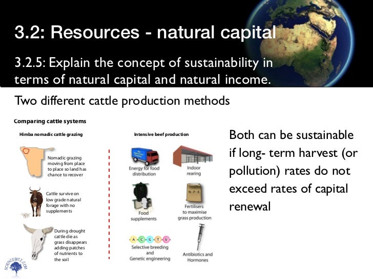 Resources natural capital