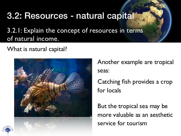 Resources natural capital