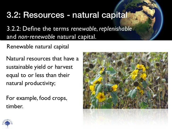 Resources natural capital