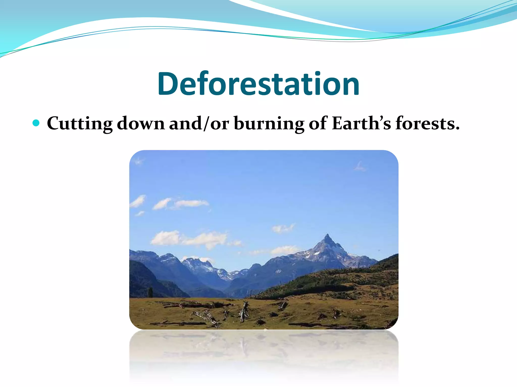 DeforestationCutting down and/or burning of Earth’s forests. 