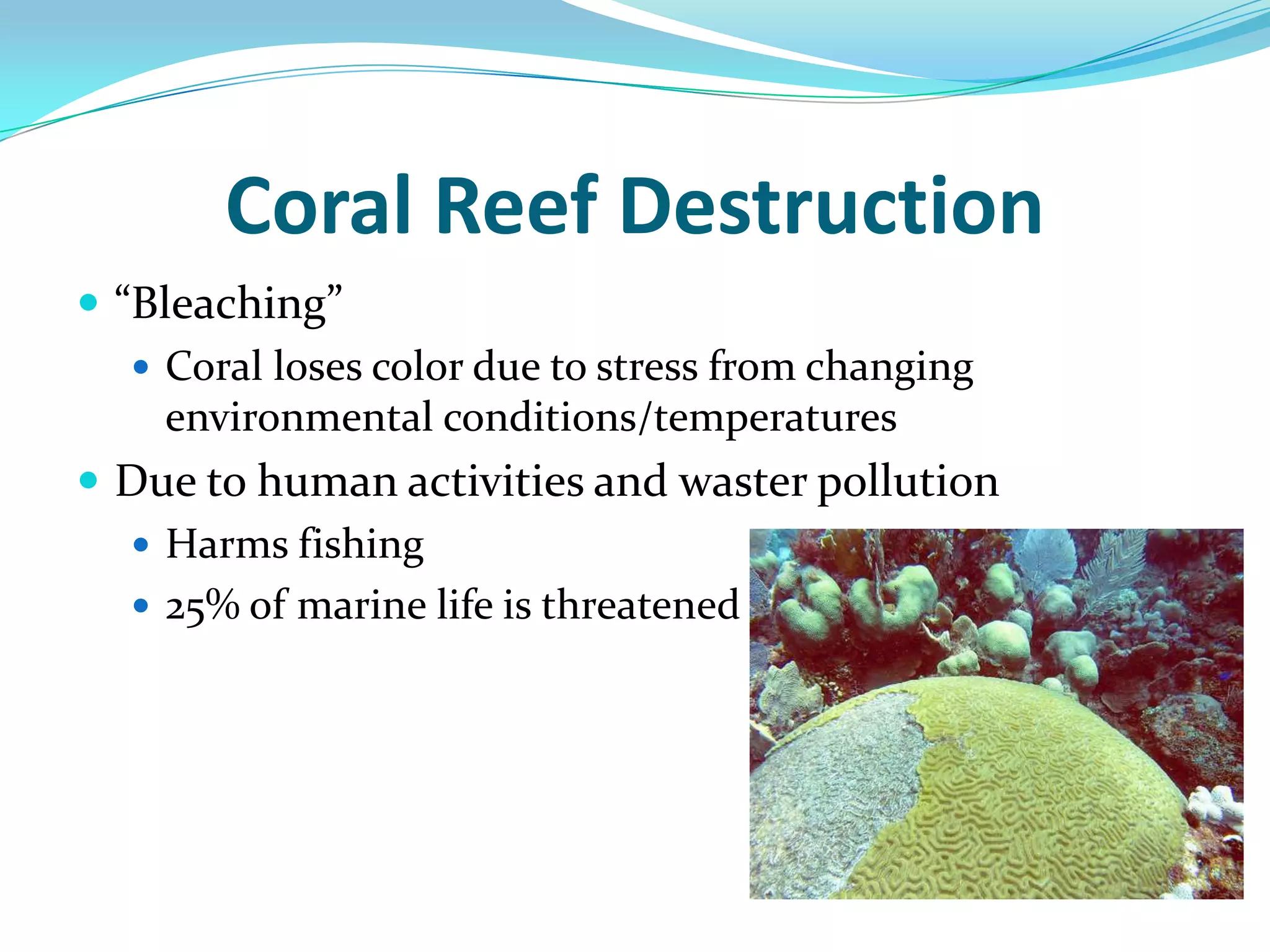 Coral Reef Destruction“Bleaching” Coral loses color due to stress from changing environmental conditions/temperaturesDue to human activities and waster pollutionHarms fishing25% of marine life is threatened 