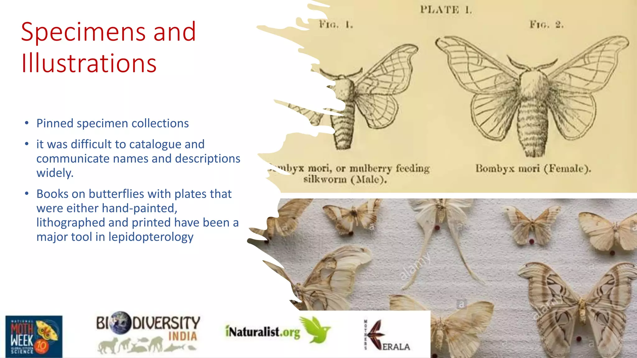 Specimens and
Illustrations
• Pinned specimen collections
• it was difficult to catalogue and
communicate names and descriptions
widely.
• Books on butterflies with plates that
were either hand-painted,
lithographed and printed have been a
major tool in lepidopterology
 