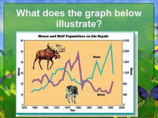 What does the graph below illustrate? 