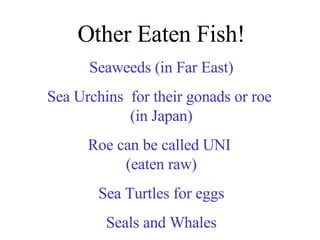 Other Eaten Fish! Seaweeds (in Far East) Sea Urchins  for their gonads or roe  (in Japan) Roe can be called UNI  (eaten ra...
