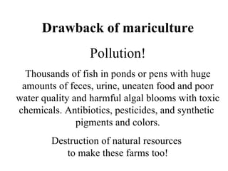 Drawback of mariculture Pollution! Thousands of fish in ponds or pens with huge amounts of feces, urine, uneaten food and ...