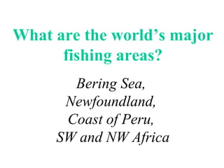 What are the world’s major fishing areas? Bering Sea,  Newfoundland,  Coast of Peru,  SW and NW Africa 