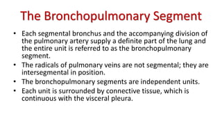 The Bronchopulmonary Segment
• Each segmental bronchus and the accompanying division of
the pulmonary artery supply a definite part of the lung and
the entire unit is referred to as the bronchopulmonary
segment.
• The radicals of pulmonary veins are not segmental; they are
intersegmental in position.
• The bronchopulmonary segments are independent units.
• Each unit is surrounded by connective tissue, which is
continuous with the visceral pleura.
 