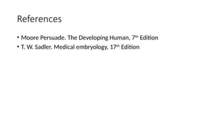 The embryology of the Respiratory System revised.pptx