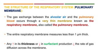 Physiology of Respiratory System: Introduction | PPTX