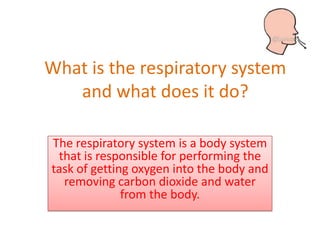What is the respiratory system
   and what does it do?

The respiratory system is a body system
 that is responsible for performing the
task of getting oxygen into the body and
  removing carbon dioxide and water
              from the body.
 