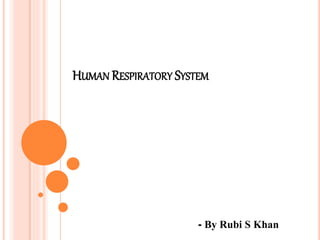 HUMAN RESPIRATORY SYSTEM
- By Rubi S Khan
 