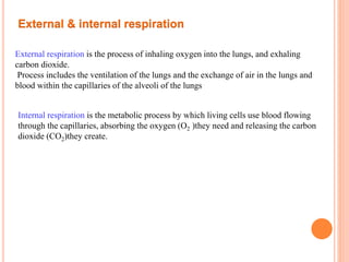 Resp-System.ppt human anatomy and physiology | PPT