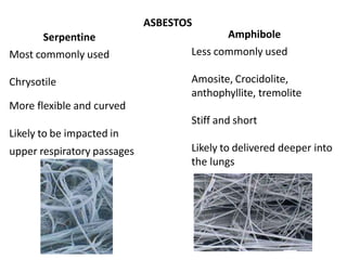 ASBESTOS
Amphibole
Less commonly used
Amosite, Crocidolite,
anthophyllite, tremolite
Stiff and short
Likely to delivered deeper into
the lungs
Serpentine
Most commonly used
Chrysotile
More flexible and curved
Likely to be impacted in
upper respiratory passages
 