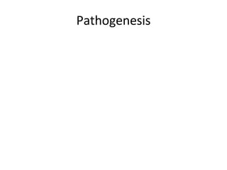 Pathogenesis
 
