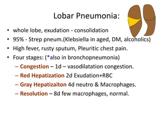 Lobar Pneumonia Stages