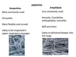ASBESTOS
AmphiboleSerpentine
Most commonly used
Chrysotile
More flexible and curved
Likely to be impacted in
upper respiratory passages
Less commonly used
Amosite, Crocidolite,
anthophyllite, tremolite
Stiff and short
Likely to delivered deeper into
the lungs
 