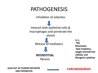 PATHOGENESIS
Inhalation of asbestos
Interact with epithelial cells &
macrophages and penetrate the
alveoli
Release of mediators
INTERSTITIAL
fibrosis
ALSO ACT AS TUMOR INITIATOR
AND PROMOTER
CARCINOGENESIS
 