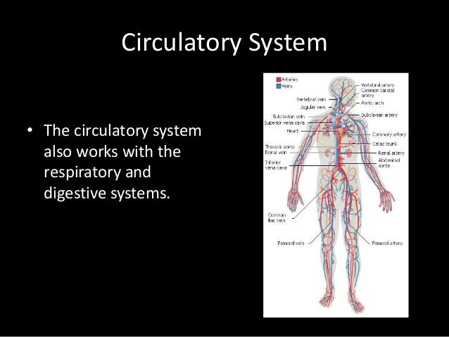 Respiratory and Circulatory Systems