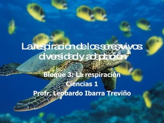 La respiración de los seres vivos: diversidad y adaptación Bloque 3: La respiración Ciencias 1 Profr. Leobardo Ibarra Treviño 