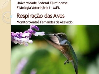 Respiração dasAves
Monitor:André Fernandes deAzevedo
Universidade Federal Fluminense
FisiologiaVeterinária I - MFL
 