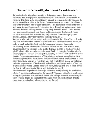 To survive in the wild, plants must form defenses to...
To survive in the wild, plants must form defenses to protect themselves from
herbivory. The main physical defenses are thorns, used to harm the herbivore, or
predator. This harm to the animal triggers a negative response, therefore causing the
animal to avoid that plant in the future. Plants commonly eaten sometimes form a
sour or bitter taste or odor to deter herbivores. This mechanism causes herbivores to
stay away from such plants and avoid eating them. In addition, poison serves as an
effective deterrent, causing animals to stay away due to its effects. These poisons
may cause vomiting or extreme illness, and in some cases, death, which warns
herbivores to avoid such plants through experience or from warnings by other
animals. A final... Show more content on Helpwriting.net ...
When a predator of the king snakes accidentally goes in for a bite of the coral snake,
they will be surprised to find that they have attacked a venomous snake instead. In
order to catch and utilize food, both herbivores and predators have made
evolutionary advancements to increase their success and survival. Most of these
advancements were physical, as the giraffe displays. In order to reach leaves, the
giraffe advanced its neck size, attaining more food. Like the giraffe, other animals
undergo physical changes such as spiders, adapting their webs and size to better trap
insects. Through the advancement of fibers in their webs and strengthening them,
spiders adapted to their environment and can catch the insects most common in their
ecosystem. Some animals in remote regions with limited food supply have adapted
to intake large amounts of food at once and utilize it for a longer period of time than
a typical animal would. Camels do so with water, making them able to travel across
the desert for long amounts of time with limited water supply.
Plants that serve as predators also adapt, a common example being the carnivorous
plants. A carnivorous plant, such as the Venus fly Trap, can utilize both small insects
and typical plant nutrients to nourish themselves. This proves to be an advantage for
them because insects are frequent in their areas, while soil nutrients can dwindle
more. Also, certain plants advance themselves through
 