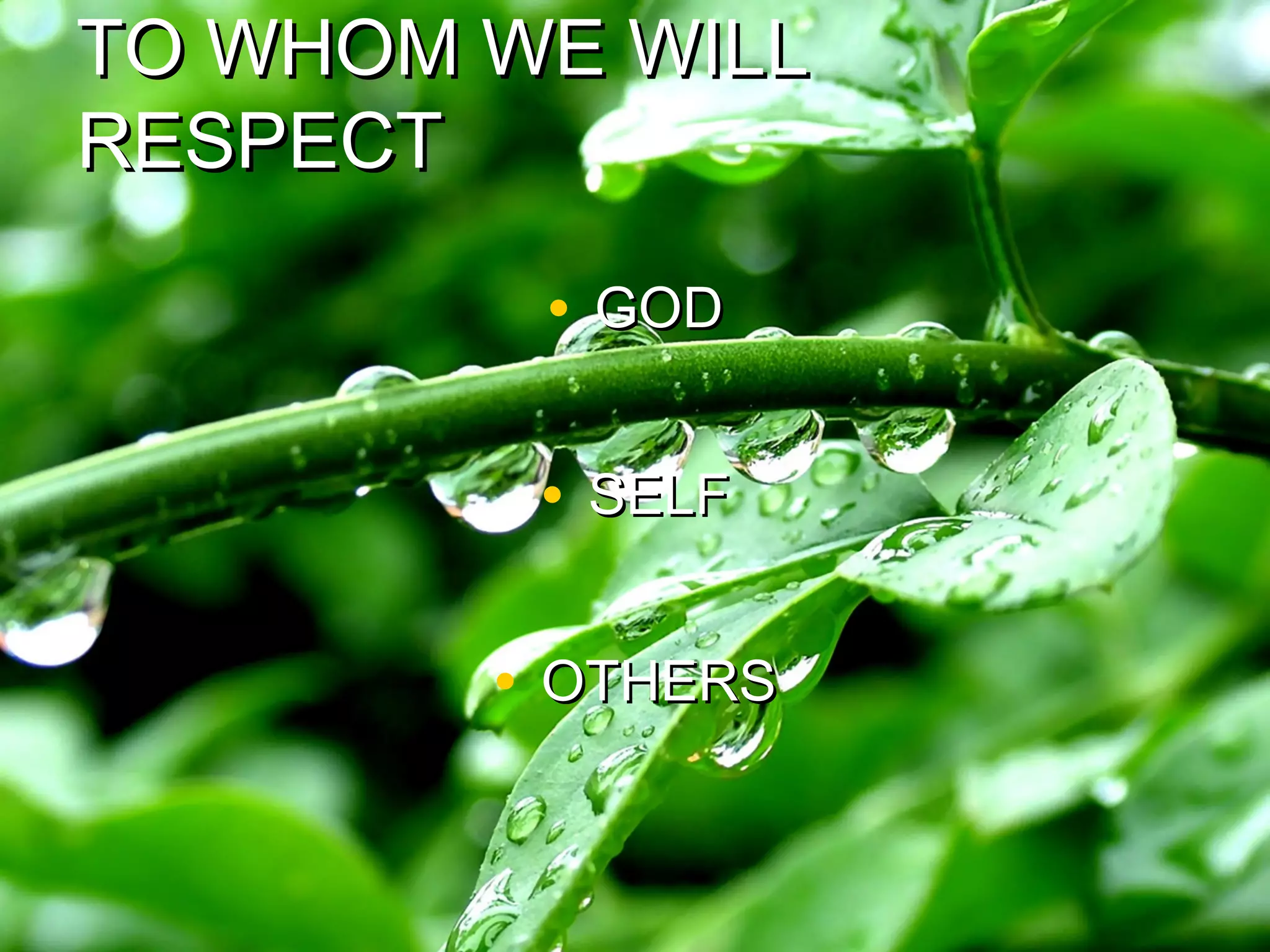 TO WHOM WE WILLTO WHOM WE WILL
RESPECTRESPECT
• GODGOD
• SELFSELF
• OTHERSOTHERS