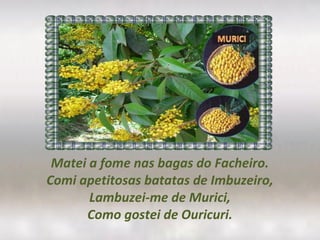 Matei a fome nas bagas do Facheiro.
Comi apetitosas batatas de Imbuzeiro,
Lambuzei-me de Murici,
Como gostei de Ouricuri.
 