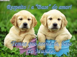 Respeito é a “Base” do amor!Temos que torná-lo, base                                                    do Mundo!
