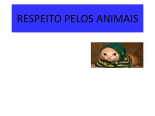 RESPEITO PELOS ANIMAIS

 