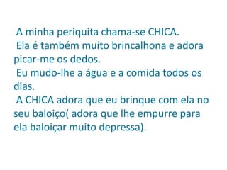 A minha periquita chama-se CHICA.
Ela é também muito brincalhona e adora
picar-me os dedos.
Eu mudo-lhe a água e a comida todos os
dias.
A CHICA adora que eu brinque com ela no
seu baloiço( adora que lhe empurre para
ela baloiçar muito depressa).

 