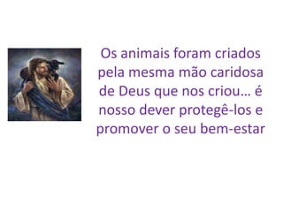 Os animais foram criados
pela mesma mão caridosa
de Deus que nos criou… é
nosso dever protegê-los e
promover o seu bem-estar

 