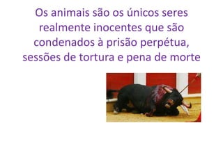 Os animais são os únicos seres
realmente inocentes que são
condenados à prisão perpétua,
sessões de tortura e pena de morte

 