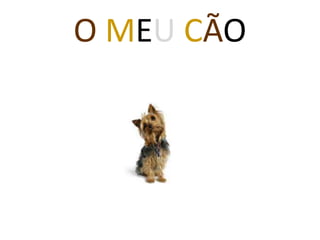 O MEU CÃO

 
