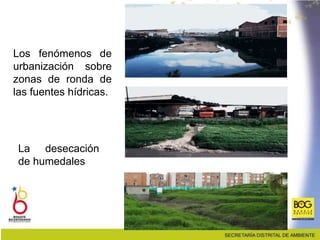 Los fenómenos de
urbanización sobre
zonas de ronda de
las fuentes hídricas.
Foto: Río Fucha zona Tintal
La desecación
de humedales
 