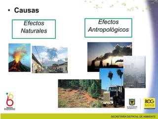 Efectos
Naturales
• Causas
Efectos
Antropológicos
 