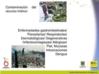 Contaminación del
recurso hídrico
Enfermedades gastrointestinales/
Parasitarias/ Respiratorias/
Dermatológicas/ Degenerativas
/Infectocontagiosas/ Alérgicas/
Piel, Mucosas
Intoxicaciones
Dengue
 