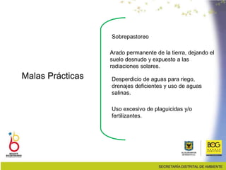 Malas Prácticas
Sobrepastoreo
Desperdicio de aguas para riego,
drenajes deficientes y uso de aguas
salinas.
Uso excesivo de plaguicidas y/o
fertilizantes.
Arado permanente de la tierra, dejando el
suelo desnudo y expuesto a las
radiaciones solares.
 