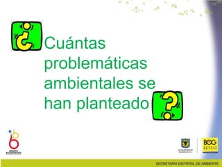 Cuántas
problemáticas
ambientales se
han planteado
 