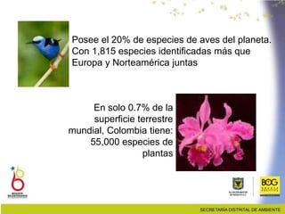 Posee el 20% de especies de aves del planeta.
Con 1,815 especies identificadas más que
Europa y Norteamérica juntas
En solo 0.7% de la
superficie terrestre
mundial, Colombia tiene:
55,000 especies de
plantas
 