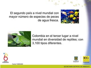El segundo país a nivel mundial con
mayor número de especies de peces
de agua fresca.
Colombia en el tercer lugar a nivel
mundial en diversidad de reptiles; con
3,100 tipos diferentes.
Fuente: FUDEHUSO
 