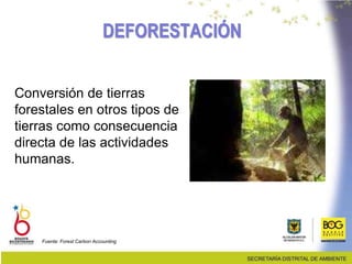 DEFORESTACIÓN
Conversión de tierras
forestales en otros tipos de
tierras como consecuencia
directa de las actividades
humanas.
Fuente: Forest Carbon Accounting
 
