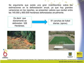 Es decir que
diariamente se
deforestan 328
Hectáreas.
91 canchas de futbol
diarias. (aprox).
Se argumenta que existe una gran incertidumbre sobre las
estimaciones en la deforestación anual, ya que hay grandes
variaciones en los reportes, se presentan valores que oscilan entre
las 145.000 y 800.000 hectáreas deforestadas anualmente.
Fuente: Cambios en la cobertura forestal Colombia. FAO. “Organización de las Naciones Unidas para la Agricultura y la Alimentación”
 