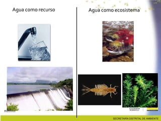 Agua como recurso Agua como ecosistema
 