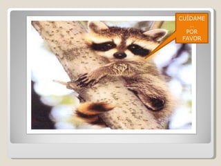 CUÍDAME… POR FAVOR 