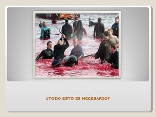 ¿TODO ESTO ES NECESARIO? 