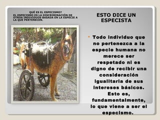 QUÉ ES EL ESPECISMO? EL ESPECISMO ES LA DISCRIMINACIÓN DE OTROS INDIVIDUOS BASADA EN LA ESPECIE A LA QUE PERTENECEN.  ESTO DICE UN ESPECISTA Todo individuo que no pertenezca a la especie humana no merece ser respetado ni es digno de recibir una consideración igualitaria de sus intereses básicos. Esto es, fundamentalmente, lo que viene a ser el especismo.  