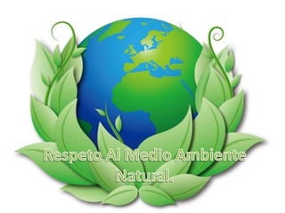 Distinciones Respeto al Entorno Natural