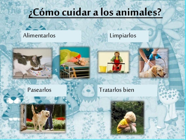 Respetamos y cuidamos a los animales