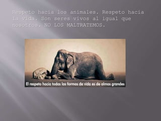 Respeto hacia los animales. Respeto hacia
la vida. Son seres vivos al igual que
nosotros. NO LOS MALTRATEMOS.
 